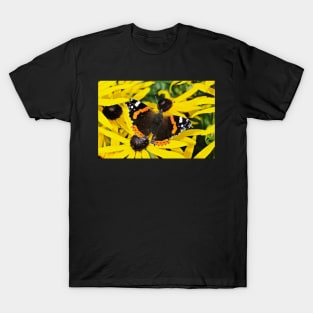 Vanessa Atalanta on Rudbeckia T-Shirt